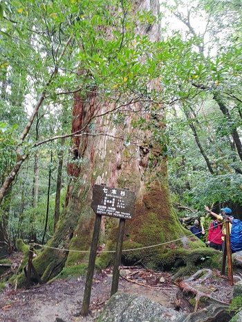 IMG00725_HDR