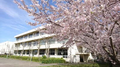 写真（新館と桜）